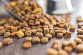 Picture of Dry Dog Food for Small Dogs with Sensitive Stomachs | Labrottie