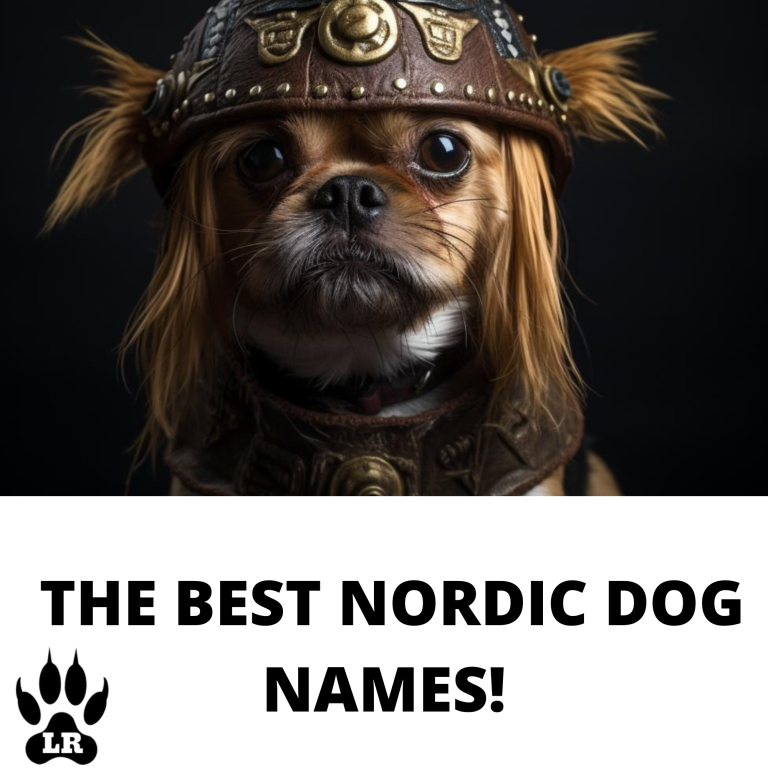 150+ of the Best Viking Dog Name's
